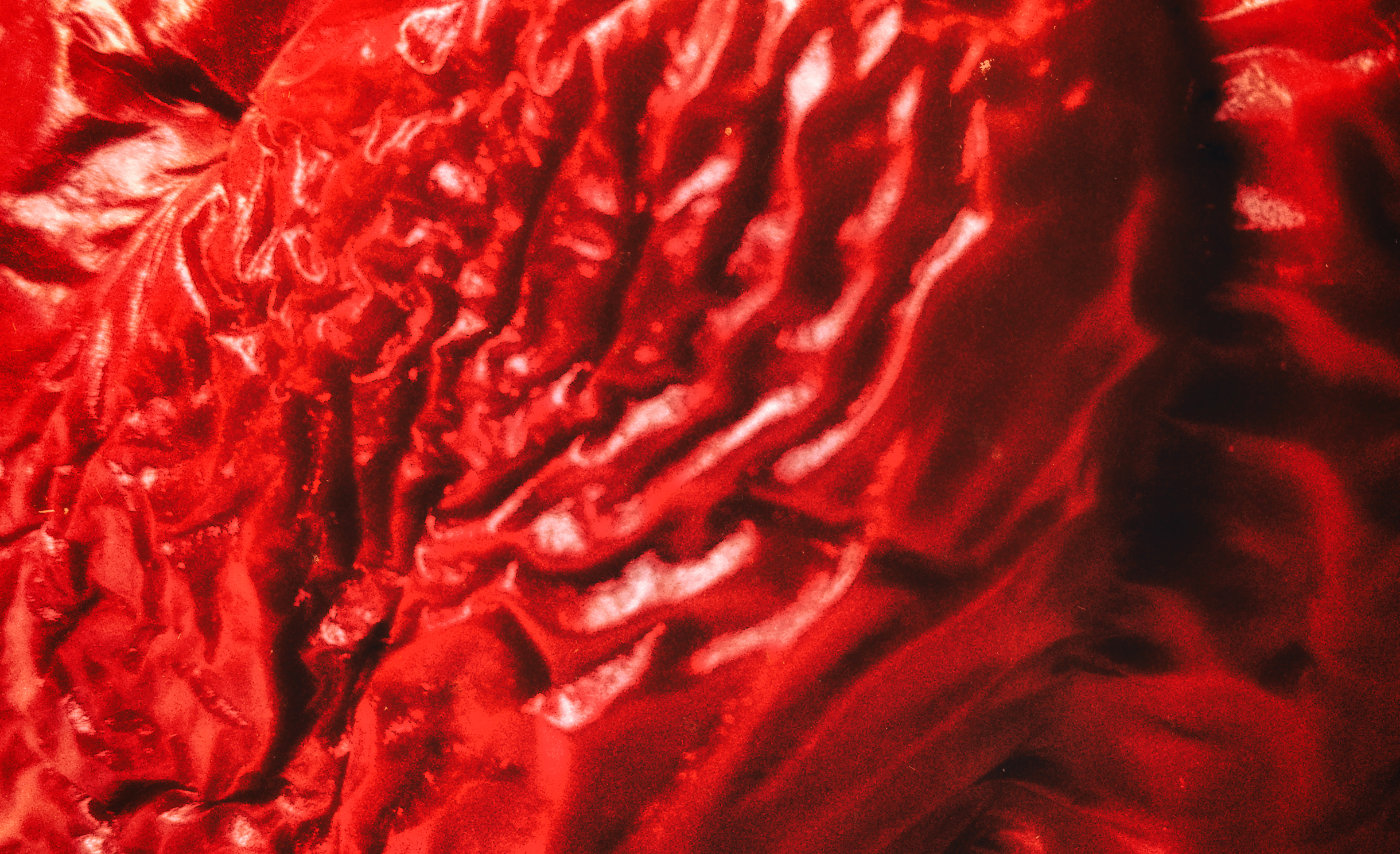 Die Paprika als Angriff auf die Leitkultur nach AfD-Vorstellung. Foto: Hufner