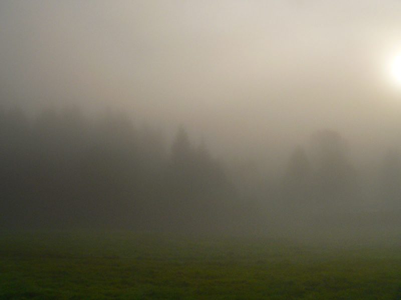 Im Nebel. Foto: Hufner
